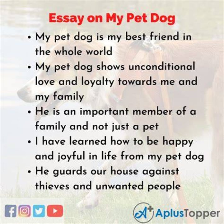 How do I write about my pet dog?