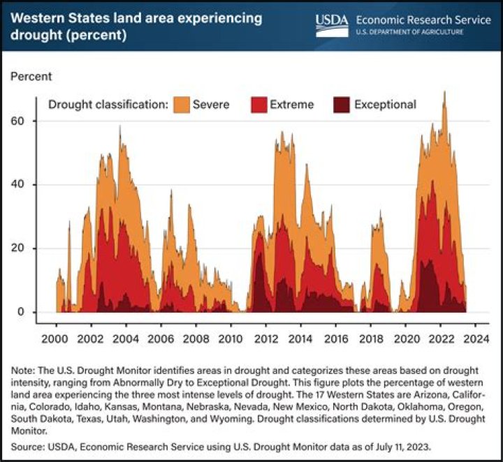 How do shortages affect the economy?