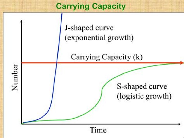 How do you calculate carrying capacity in logistic growth?