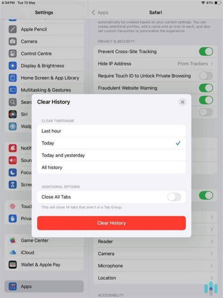 How do you delete daily history on iPad?