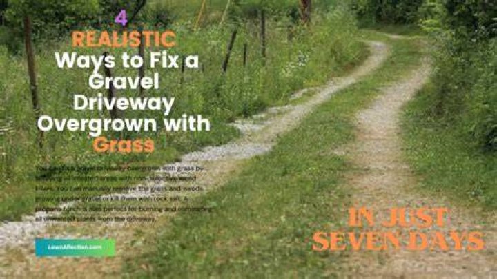 How do you fix an overgrown gravel path?