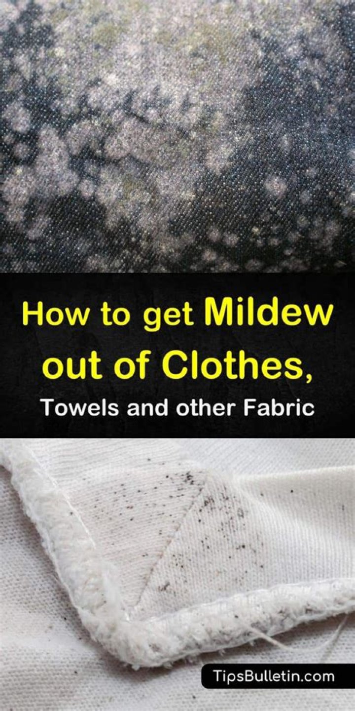How do you get mildew out of fabric furniture?