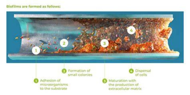 How do you get rid of bacterial biofilms?