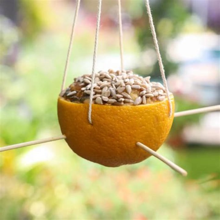 How do you make a bird feeder out of natural materials?