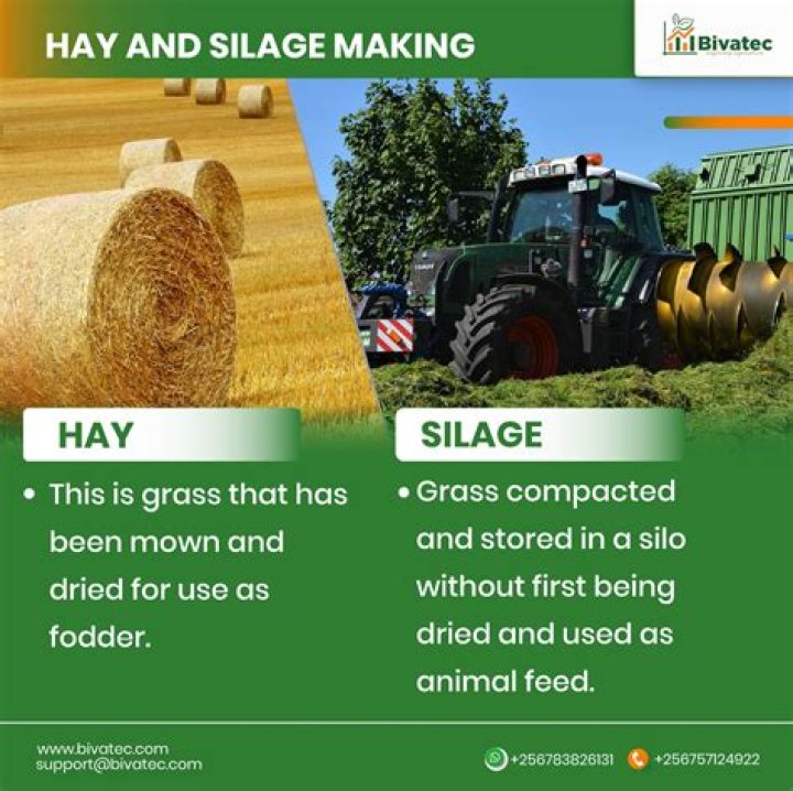 How do you make good quality haylage?