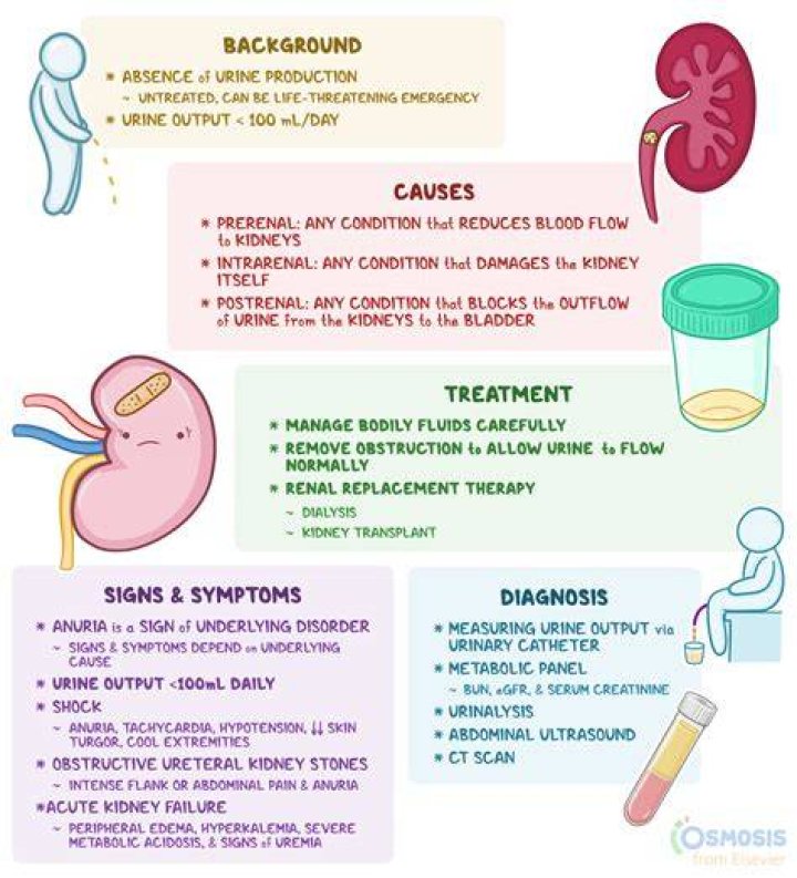 How do you treat uremic bleeding?