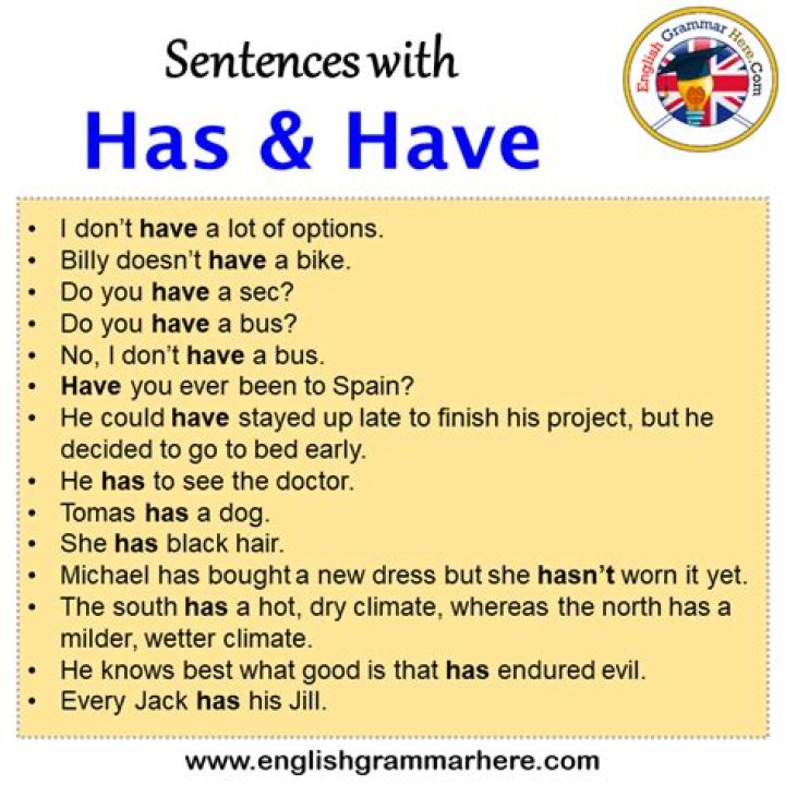 How do you use have and has in a sentence?