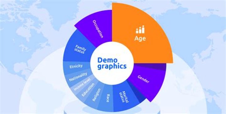 How do you write a demographic profile?