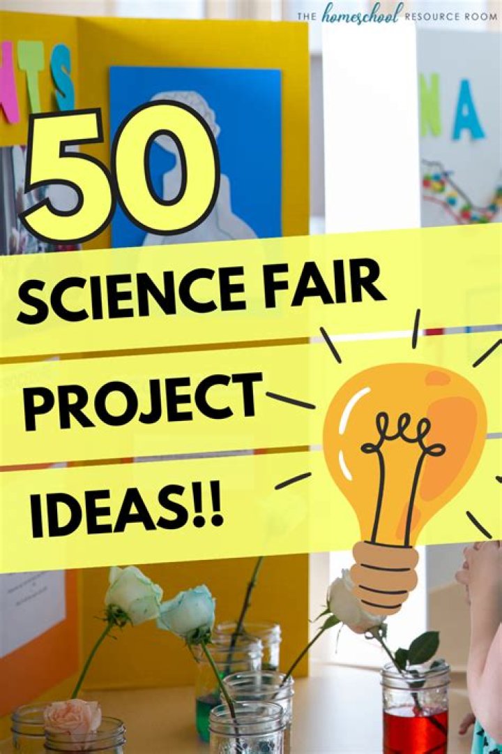 How do you write results for a science fair project?