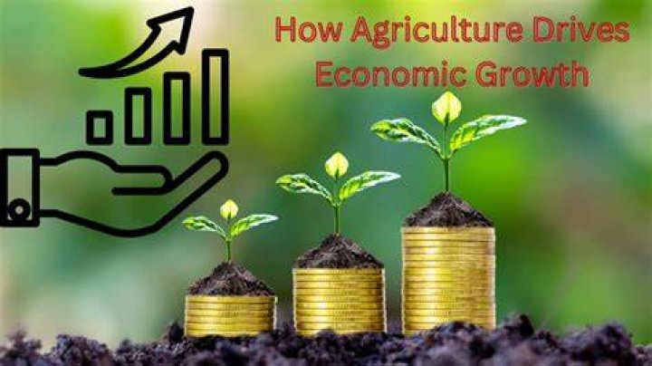 How does agriculture affect economic development?