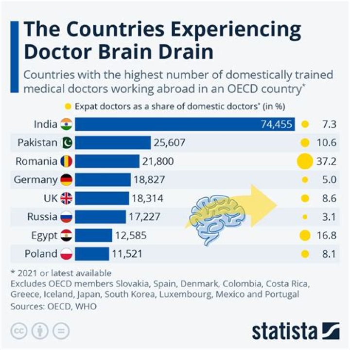 How does brain drain affect developing countries?