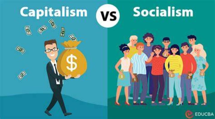 How does capitalism meet the needs of society?