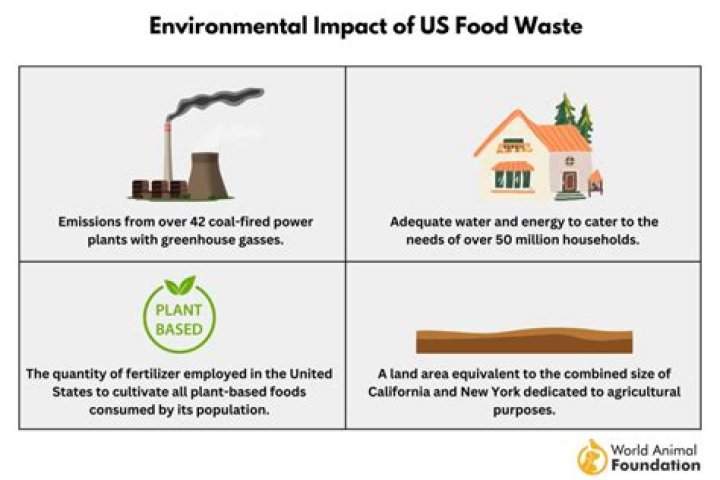 How does food processing helps you lift up your economic growth?