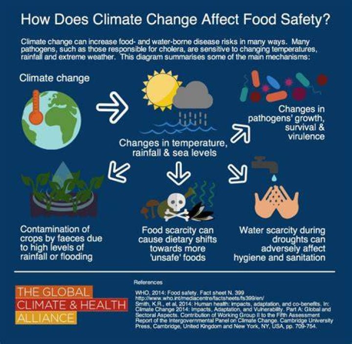 How does food safety affect the economy?