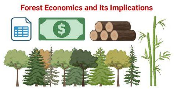 How does forestry affect the economy?