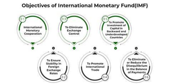 How does International Monetary Fund help developing countries?