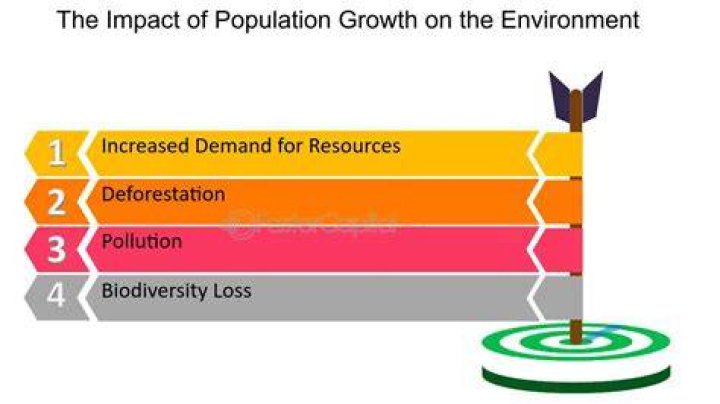 How does population affect the economy?