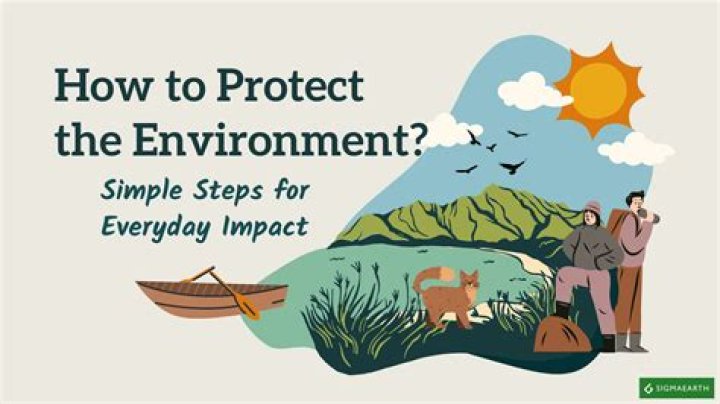How does protecting the environment help the economy?