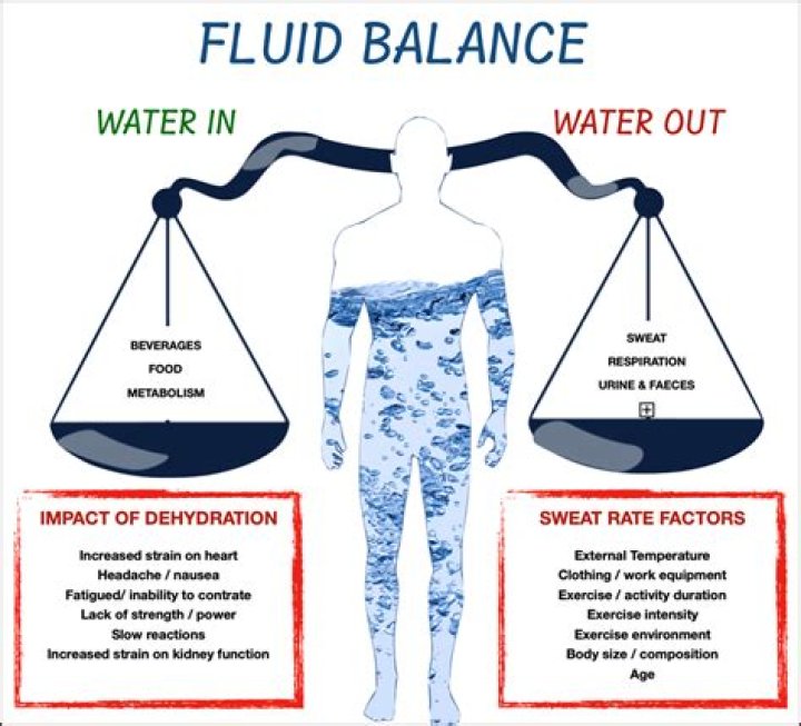 How does temperature affect water balance in the body?