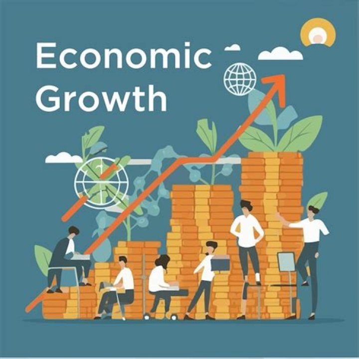 How does the government in China promote economic growth?