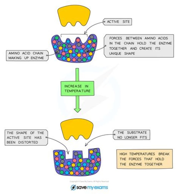 How heat affects molecules activity?