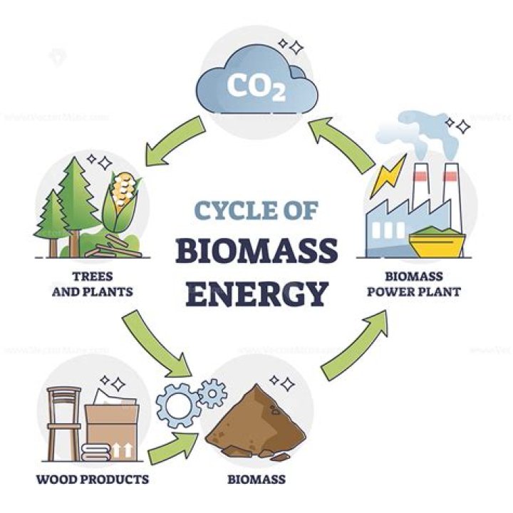 How is biomass turned into energy?