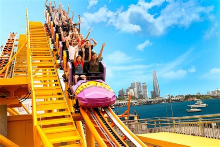 How is the economy like a roller coaster?