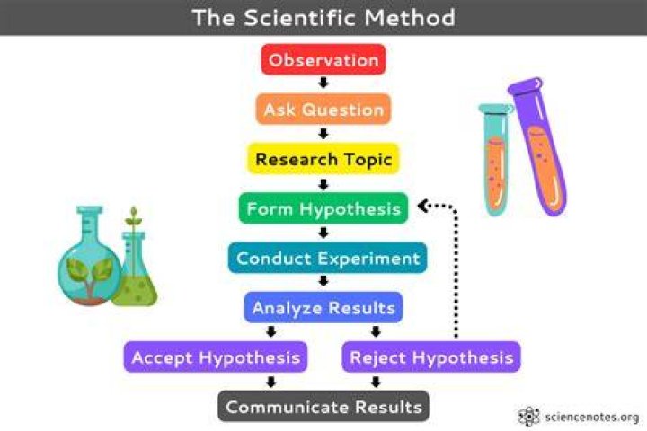 How is the scientific method applied in social sciences?