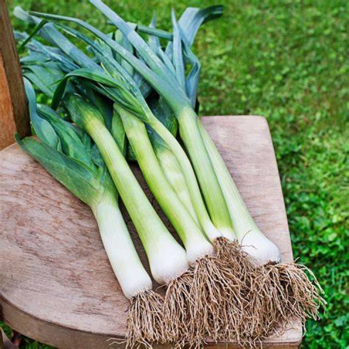 How long does it take to grow leeks?