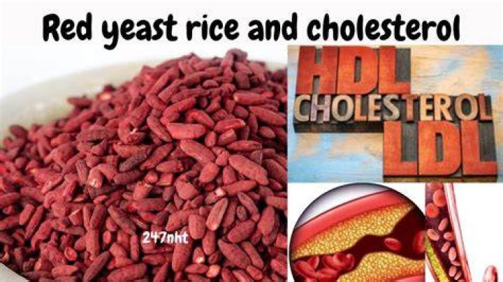 How Long Does red yeast rice take to lower cholesterol?