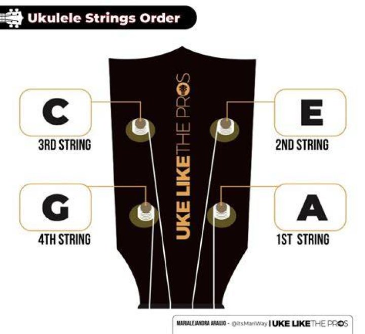 How long should ukulele strings last?