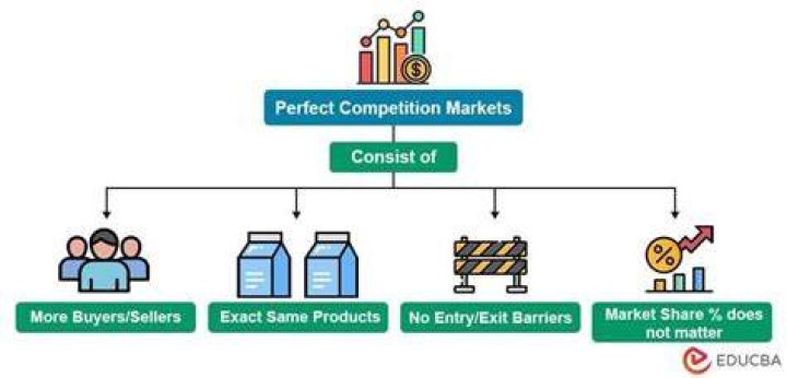How many suppliers are in a perfect competition?