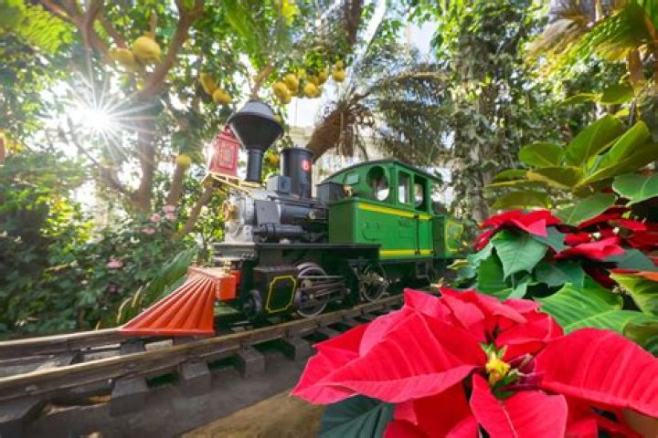 How much are Nybg Train Show tickets?