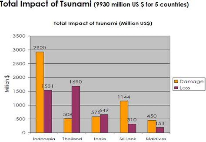 How much did the 2004 tsunami cost?