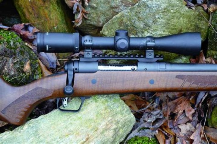 How much does a savage 243 bolt action cost?