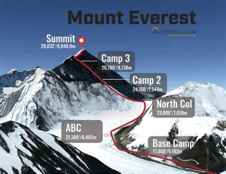 How much does a Summit 800 weight?