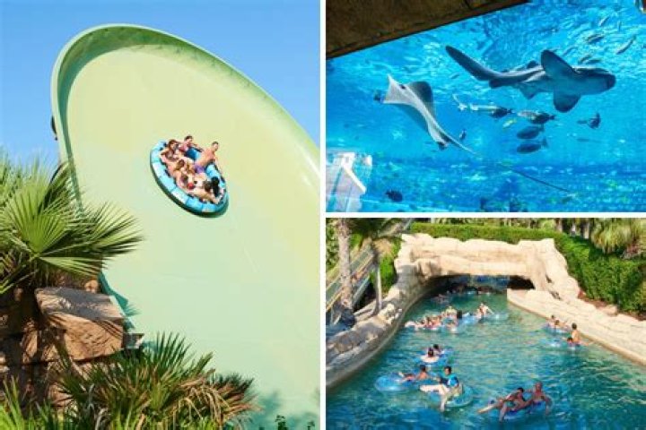 How much does aquaventure cost?