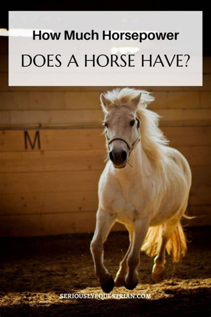 How much horsepower does a 361 have?