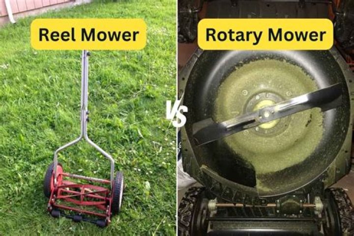 How much is a reel mower?