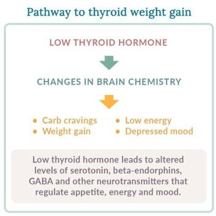 How much weight can thyroid make you gain?