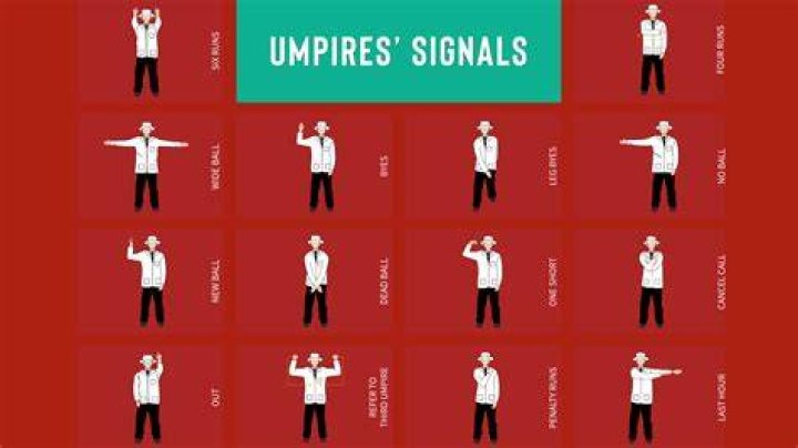How often are umpires wrong?