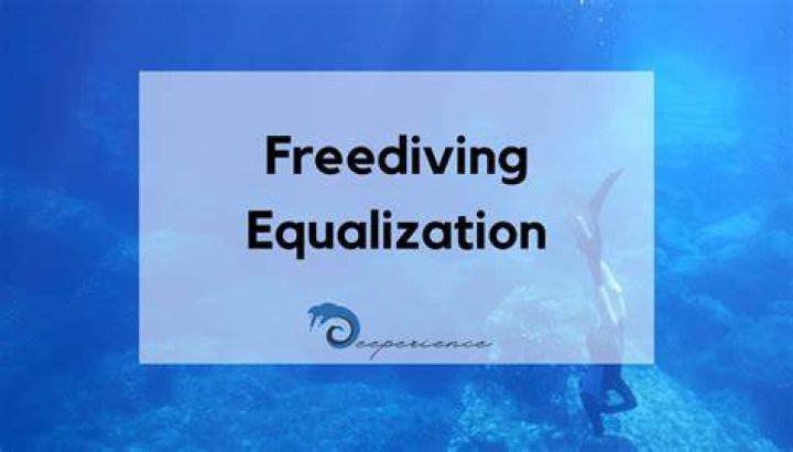 How often should you equalize freediving?