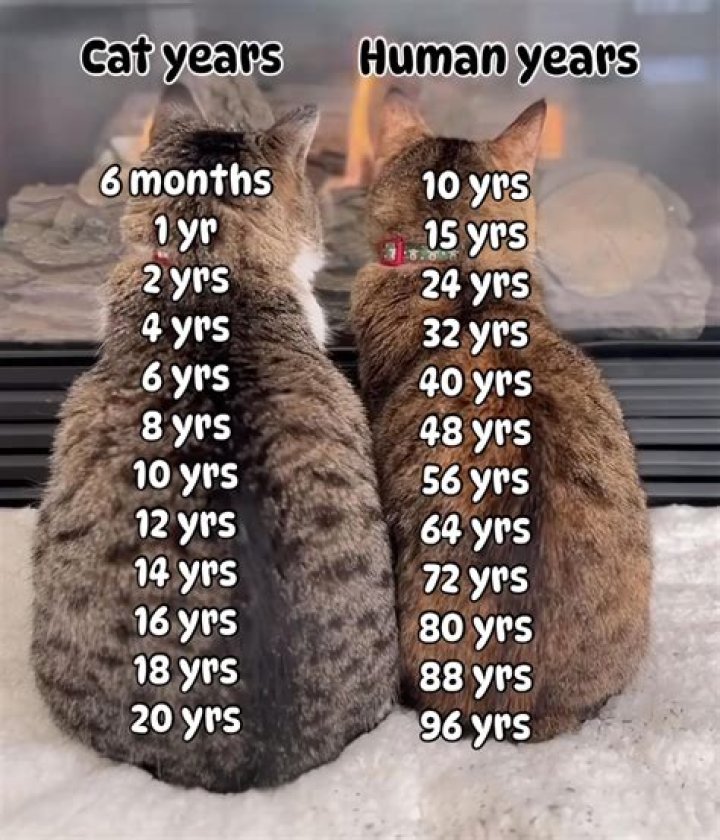 How old is M67?