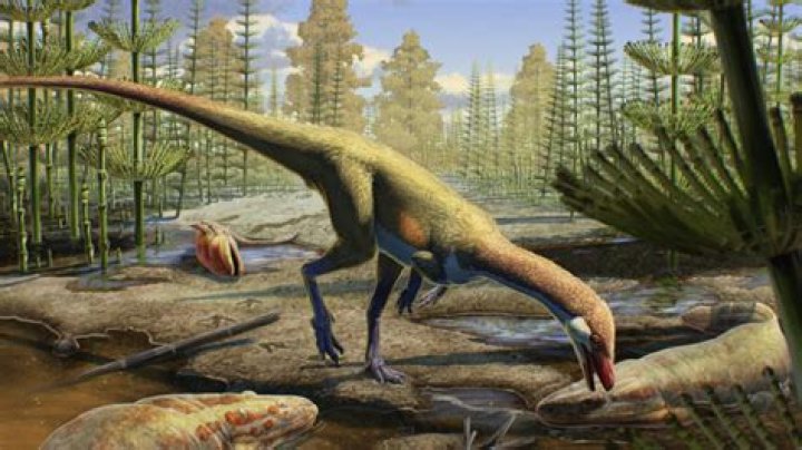 How smart is a dinosaur?