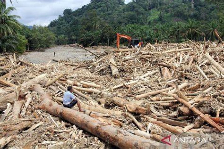 How well known is logging in Indonesia?