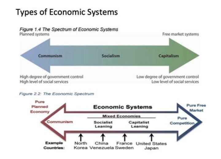 In which economic system does the government control all economic decisions?