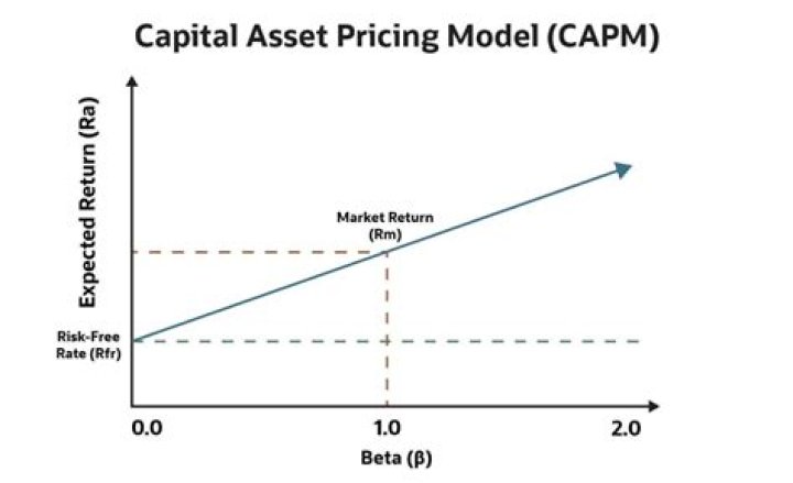 Is a CAPM worth it?