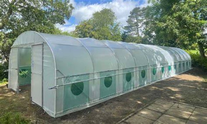 Is a poly tunnel worth it?