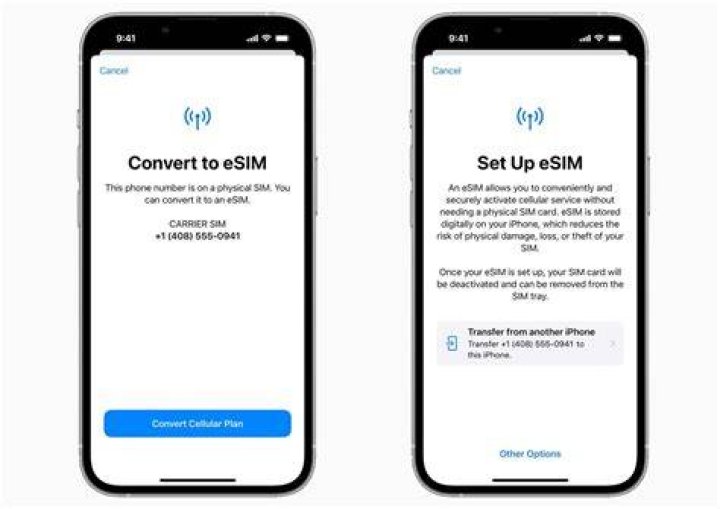 Is AR supported on iPhone 6?