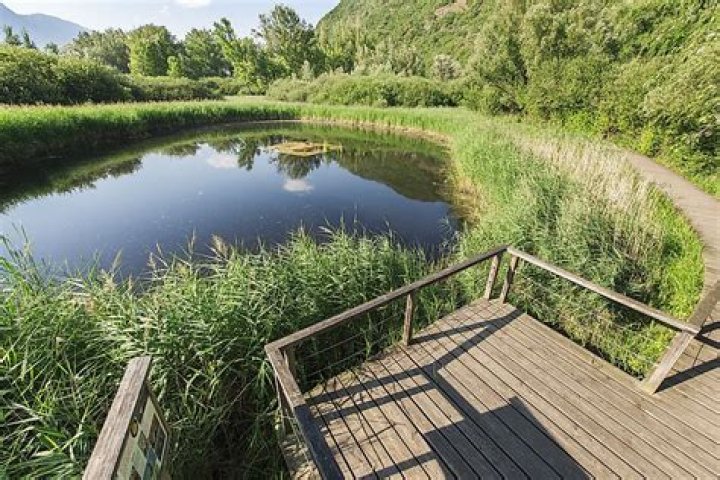 Is biotope a habitat?